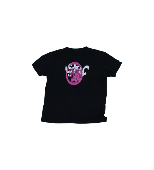 Star Horse Tee-Shirt
